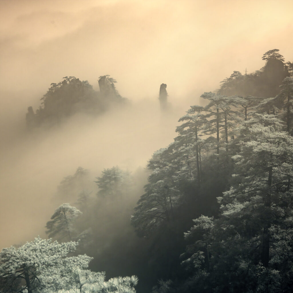 dreams of the misty mount huangshan10